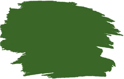 Produktbild von RyFo Colors Seidenlatex Trend Grüntöne Farngrün 10l  - bunte Innenfarbe, weitere Grün Farbtöne und Größen erhältlich