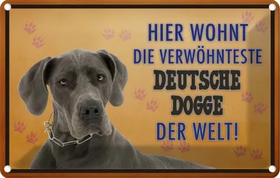 Produktbild von vianmo Blechschild 20x30 cm Hund hier wohnt Deutsche Dogge Tier Haustier