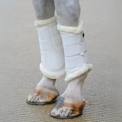 Produktbild von Bucas Brushing Boots, Farbe:White/white, Größe:L