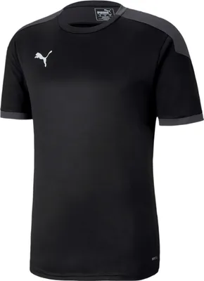 Produktbild von Puma FINAL 21 Trainingstrikot Herren schwarz Gr XL