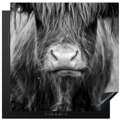 Produktbild von KitchenYeah© Herdabdeckplatte Schottischer Highlander - Kuh - Schwarz - Weiß - Tiere , 78x78cm, Küche Deko, Glaskeramikkochfeld Herdabdeckung, Abdeckplatte fùr Kochfeld
