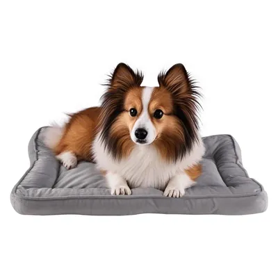 Produktbild von Haustierbett, Kiwari®, 59 x 40 x 5 cm, 100 % Polyester, Veloursmaterial, Grau