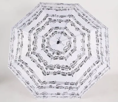 Image de Parapluie de poche télescopique avec housse de protection 100 cm avec motif de notes de musique Structure en fibre de verre blanche