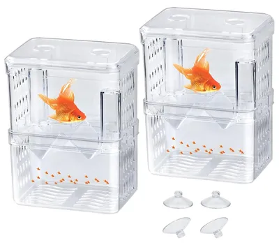 Image de 2 flotteurs en acrylique pour incubateur d'aquarium