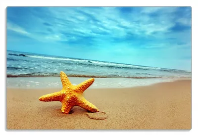 Produktbild von Wallario Frühstücksbrettchen aus Glas 20 x 30 cm mit rutschfesten Füßen, Motiv Seestern am Strand am Meer