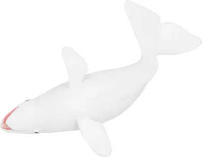 Immagine prodotto di Figure realistiche di animali marini di balena bianca, modello, simpatico oggetto didattico marino