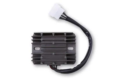 Immagine prodotto di Regolatore di carica ElectroSport ESR 100