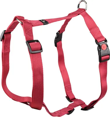 Produktbild von Flamingo Geschirr Ziggi kirschrot, Größe: XL / Breite: 25 mm