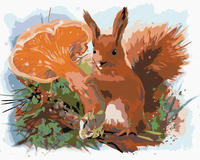 Produktbild von Zuty - Malen nach Zahlen - EICHHÖRNCHEN, 40x50 cm, mit Keilrahmen (bereits gespannt)