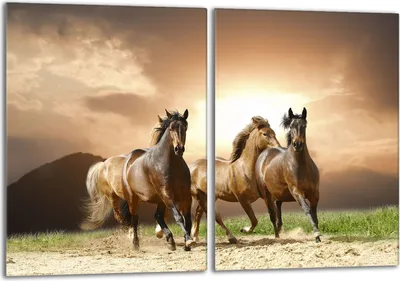 Image de Set de plaques de recouvrement pour cuisinière 2x40x52 cm Couvercle pour plaque vitrocéramique, verre anti-projections, chevaux Beige