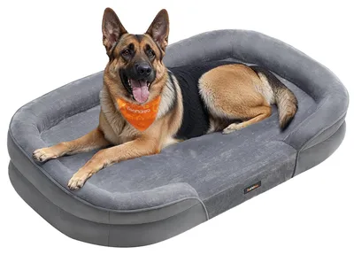 Image de Lit pour chien Feandrea, orthopédique, pour chiens de taille moyenne, 122 x 85 x 20 cm – gris clair, taille 3XL (122 x 85 x 18 cm)