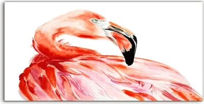 Produktbild von Coloray Spritzschutz aus Glas 140x70  Wandkunst Küchenrückwand farbenfroh Flamingo Vogel Porträt