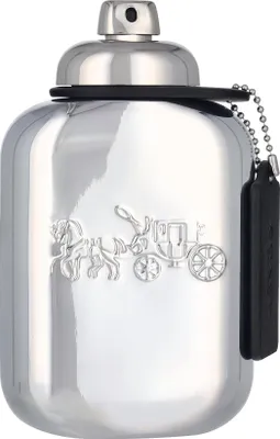Produktbild von PLATINUM EDP für Männer, 100 ml