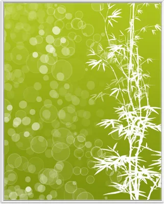 Produktbild von Wallario Wandbild Bambusmuster grün-weiß, Größe: 40,30 x 50,30 cm, Poster mit weißem Aluminiumrahmen