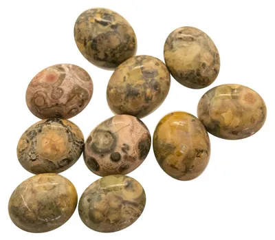 Produktbild von 10 Leopardskin Rhyolith Cabochons 10x8 mm Halbedelstein Schmuckstein Klebestein
