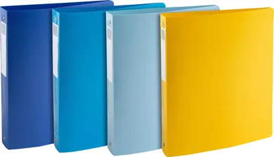 Zdjęcie produktu dla Segregator Exacompta 12x A4 Maxi 4 ringi z PP BeeBlue, różne 51140E