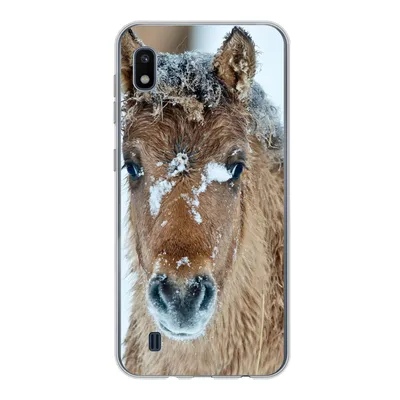 Produktbild von MuchoWow® Handyhülle Schutzhülle Hülle für Samsung Galaxy A10 Junges Fjordpferd mit Schnee bedeckt Silikon Softcase Handy Hülle - Schutzhülle