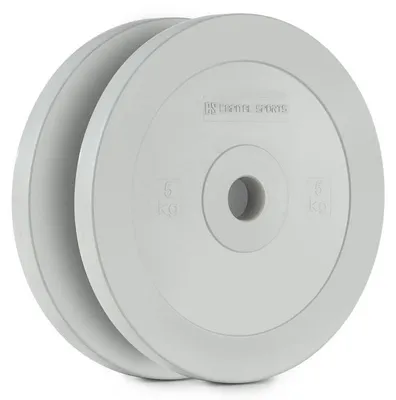 Produktbild von CAPITAL SPORTS Methoder Technikscheibe Gewichtsplatten Gummi Paar 5 kg grau