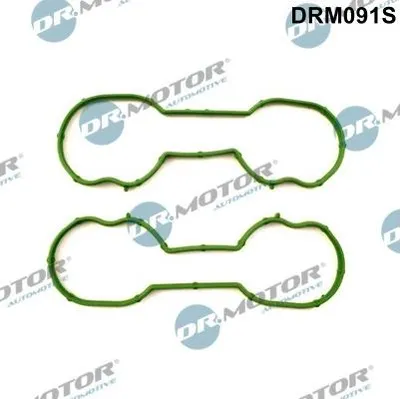 Produktbild von DR.MOTOR AUTOMOTIVE DRM091S Dichtungssatz Ansaugkrümmer für FORD Focus II Schrägheck (DA, HCP, DP) Focus II Kombi (DA, FFS, DS) FOCUS (DAW, DBW)