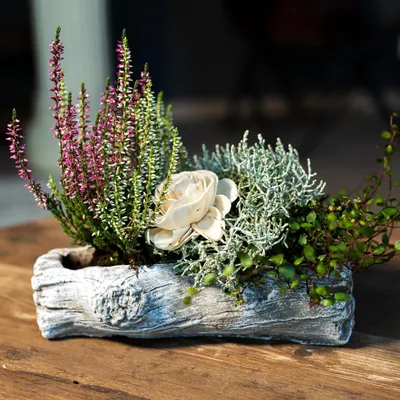 Produktbild von Zement Pflanzschale grau Baumstamm (A) 12 x 24cm Blumentopf Deko-Schale bepflanzbar