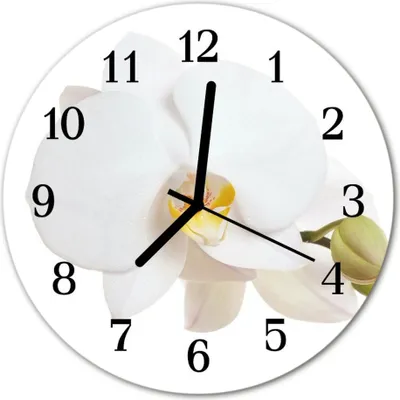 Produktbild von Glasuhr Wanduhr Küchenuhr Echt-Glas 30fi cm Orchidee weiß
