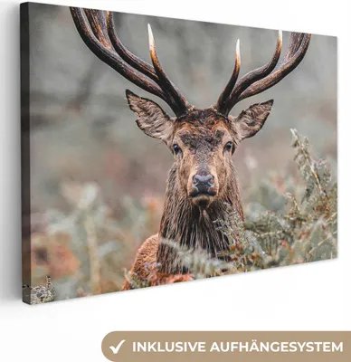 Produktbild von MuchoWow® - Leinwandbilder - Hirsche - Natur - Herbst - Waldtiere, Wandbild, Wanddeko Bilder Wohnzimmer, 120x80 cm