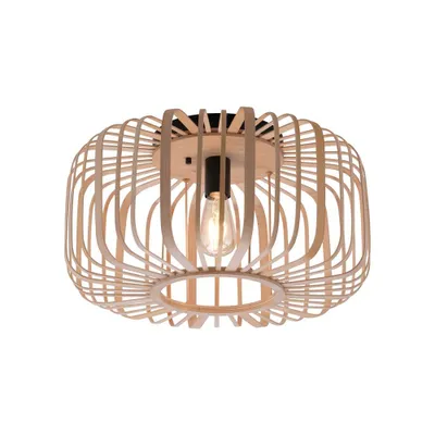 Zdjęcie produktu dla Lampa sufitowa RACOON 11413-79 Paul Neuhaus