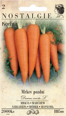 Immagine prodotto di Carota tardiva KORINA