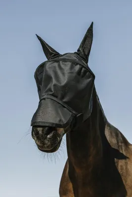 Immagine prodotto di Maschera da mosca Equithéme Protec nera, taglia:M