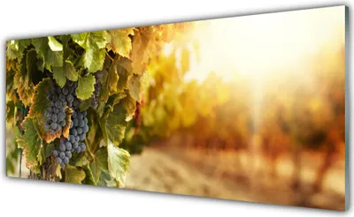 Produktbild von Acrylglasbilder 125x50 Wandbild Druck Weintrauben Natur