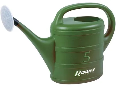Image de Arrosoir 5L - Pomme d'Arrosage Amovible -  - Pratique et Ergonomique - Durable - D-Work