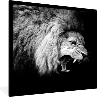 Produktbild von MuchoWow® Gerahmtes Poster Löwe - Porträt - Schwarz - Weiß - Tiere 40x40 cm - Poster mit Schwarzem Bilderrahmen Wandposter Rahmen Foto Bilder - Mit Rahmen - Wanddekoration Schlafzimmer