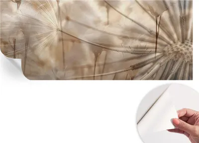 Produktbild von Selbstklebende Wandtapete - Dekorative Tapete für Wohnzimmer - Klebefolie für Wandbilder - Tapetenfolie für Wanddekoration - 208x146 cm - Zarte Löwenzahnblüten