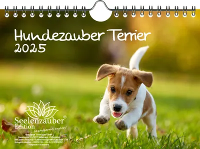 Produktbild von Hundezauber Terrier DIN A5 Kalender für 2025 Welpen und Hunde - Seelenzauber