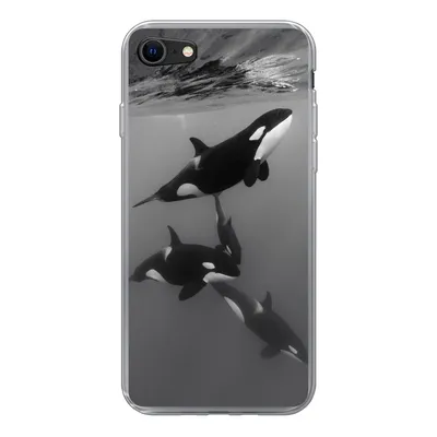 Produktbild von MuchoWow® Handyhülle Schutzhülle Hülle für iPhone 7 Orca - Wasser - Schwarz - Weiß Silikon Softcase Handy Hülle - Kartenhalter