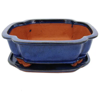 Produktbild von Bonsai-Schale mit Unterteller Gr. 5 - blau - haitang I4 - L 31,5cm - B 26cm - H 11cm