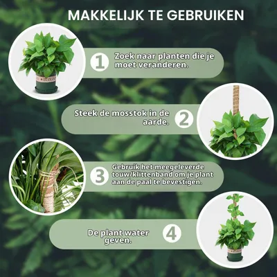 Zdjęcie produktu dla Podpory do roślin, 70 cm, 2 sztuki, do roślin pnących, np. Monstera