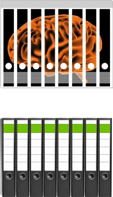 Produktbild von Wallario 8 Stück schmale Ordner inkl. Klebeetiketten mit Motive Menschliches Gehirn in leuchtend orangener Farbe -  Set mit Rückenschildern / Ordnerrücken Stickern