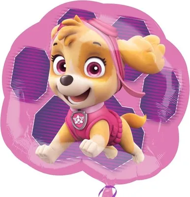 Produktbild von Amscan 3426901, Spielzeugballon, Folie, Pink, 63 cm, 5 Stück(e)