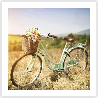 Produktbild von Poster - Poster ohne Rahmen - Fahrrad Wiese Blumen - 50x50 cm - Wand Bild - Wanddeko - Wandbilder - Kunstposter - Wandposter - Bilder - Kunstdruck - Wanddekoration - Wandbild - P2XAC50x50-4206