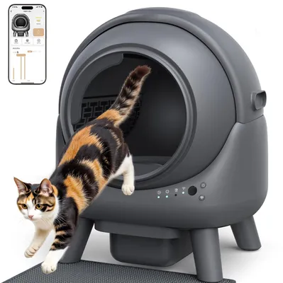 Selbstreinigende Katzenbox, automatisch, App-Steuerung, groß, grau