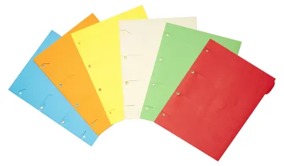 Immagine prodotto di Cartella organizer Smartfolder A4 Standard 6 colori assortiti PU=6 pezzi