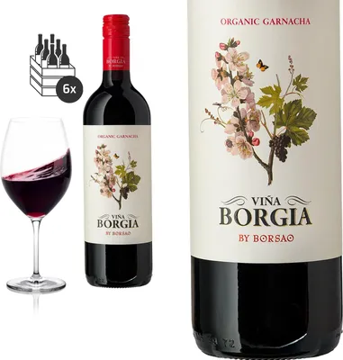 Produktbild von 6er Karton 2020  Campo de Borja Vina Borgia - Organico Bodegas Borsao - Rotwein