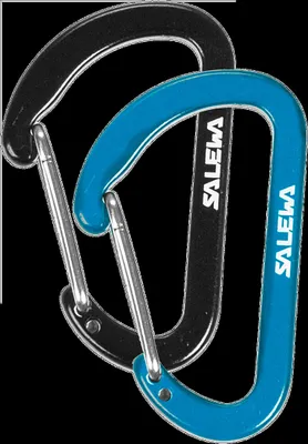 Image de Mousqueton Flat Wiregate - Salewa, Couleur:green-black-orange-grey-blu, Taille:UNI