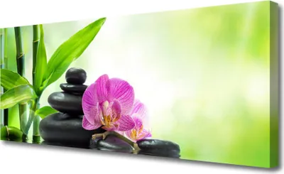 Produktbild von Tulup Leinwand-Bilder 125x50 Wandbild Canvas Kunstdruck Bambusrohre Blume Steine