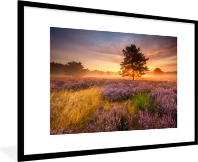 Produktbild von MuchoWow® Gerahmtes Poster Heidelandschaft mit einem Baum 90x60 cm - Poster mit Schwarzem Bilderrahmen Wandposter Rahmen Foto Bilder - Wanddekoration - Fotos