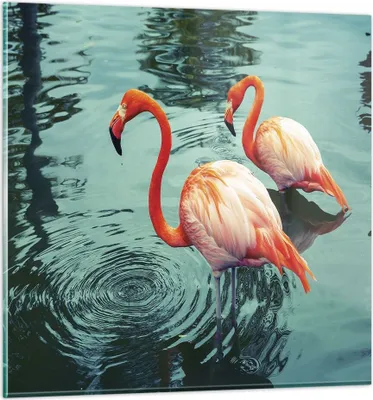 Produktbild von Bilder auf glas - Einteilig - Rosa Flamingos Wasser - 30x30cm - Glasbilder - Wandbilder - Bilder - zum Aufhängen bereit - Wanddekoration aus Glas - Glas Bilder - Wandbild auf Glas - GAC30x30-4203