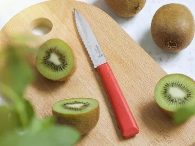 Obrázok produktu pre Opinel Essentiels+ No.313 rot