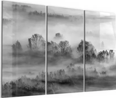 Produktbild von DEQORI Glasbild Echtglas 3x50x100 cm 'Nebelgeflüster' Wandbilder XXL groß