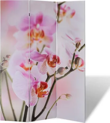 Image de Cloison de séparation pliable 120 x 170 cm Fleur